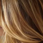 pelo dirty blonde