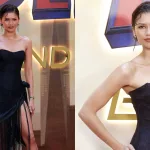 recogido Zendaya