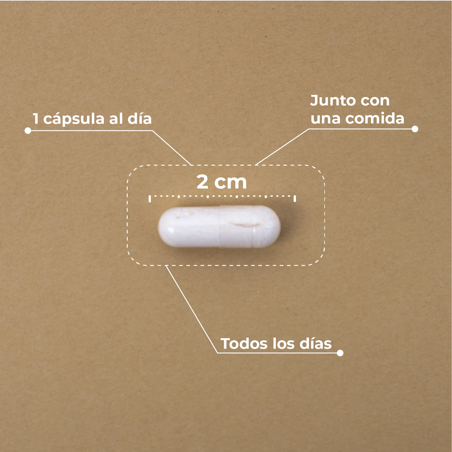 Kobho Vp Liposomal Vit C Kobho Labs