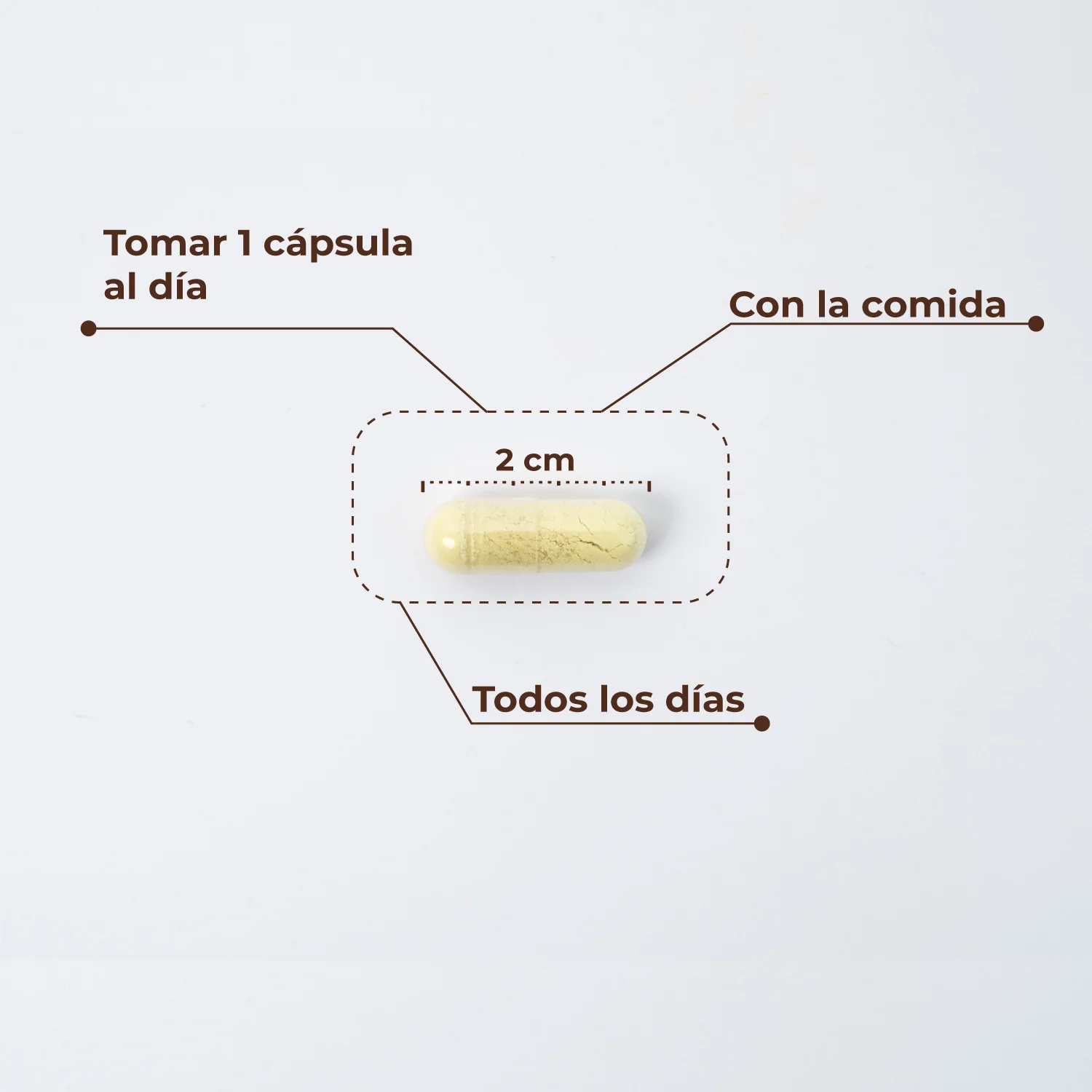 Trans Resveratrol + Quercetina Kobho Labs